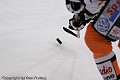 Scorpoins 16_11_08  021